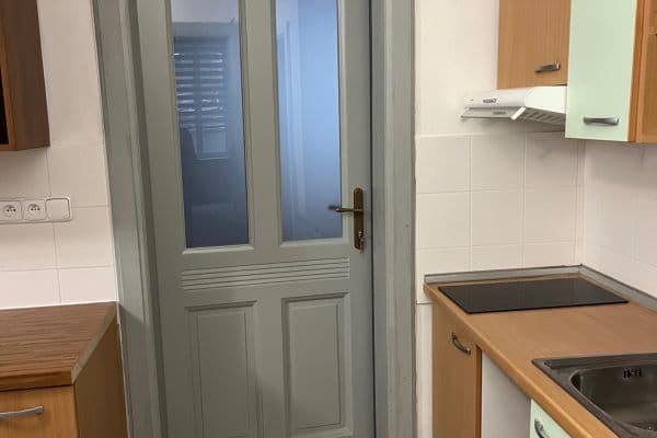 1 bedroom with open-plan kitchen flat to rent, 50 m², Čechova, Praha 1 bedroom with open-plan kitchen flat to rent, 50 m², Čechova, Praha