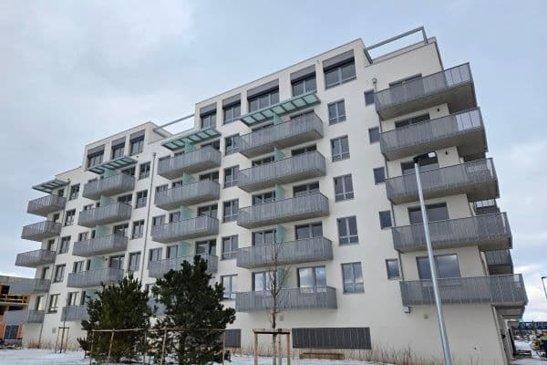 1 bedroom with open-plan kitchen flat to rent, 43 m², Honzíkova, Praha 1 bedroom with open-plan kitchen flat to rent, 43 m², Honzíkova, Praha