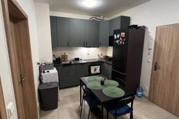 1 bedroom with open-plan kitchen flat for sale, 43 m², V Pitkovičkách, Praha 1 bedroom with open-plan kitchen flat for sale, 43 m², V Pitkovičkách, Praha