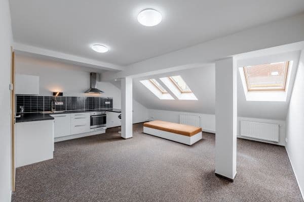 2 bedroom with open-plan kitchen flat to rent, 100 m², Sudoměřská, Prague, Prague 2 bedroom with open-plan kitchen flat to rent, 100 m², Sudoměřská, Prague, Prague