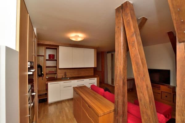 1 bedroom with open-plan kitchen flat to rent, 61 m², Na Mlejnku, Praha 1 bedroom with open-plan kitchen flat to rent, 61 m², Na Mlejnku, Praha