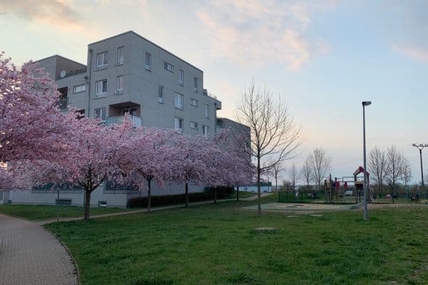 1 bedroom with open-plan kitchen flat for sale, 54 m², Václava Trojana, Praha 1 bedroom with open-plan kitchen flat for sale, 54 m², Václava Trojana, Praha