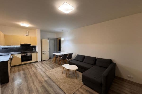 1 bedroom with open-plan kitchen flat to rent, 57 m², Lehovecká, Praha 1 bedroom with open-plan kitchen flat to rent, 57 m², Lehovecká, Praha