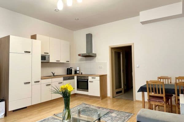 1 bedroom with open-plan kitchen flat to rent, 50 m², Bořivojova, Praha 1 bedroom with open-plan kitchen flat to rent, 50 m², Bořivojova, Praha