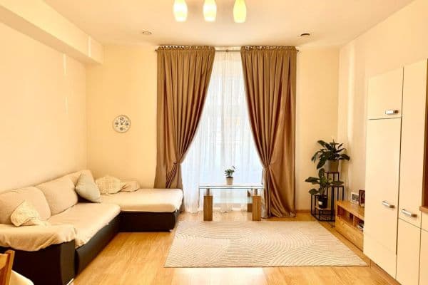 1 bedroom with open-plan kitchen flat to rent, 55 m², Bořivojova, Praha 1 bedroom with open-plan kitchen flat to rent, 55 m², Bořivojova, Praha