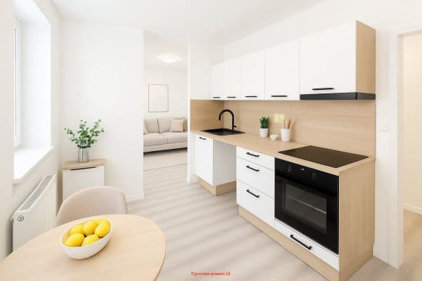 1 bedroom with open-plan kitchen flat to rent, 29 m², nám. Republiky, 1 bedroom with open-plan kitchen flat to rent, 29 m², nám. Republiky,