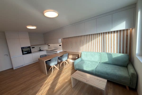 1 bedroom with open-plan kitchen flat to rent, 60 m², U Hájenky, Ostrava 1 bedroom with open-plan kitchen flat to rent, 60 m², U Hájenky, Ostrava