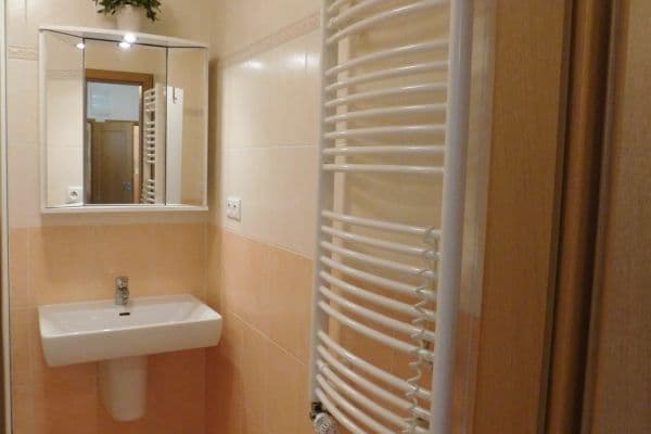 1 bedroom with open-plan kitchen flat to rent, 44 m², U Měšťanského pivovaru, Praha 1 bedroom with open-plan kitchen flat to rent, 44 m², U Měšťanského pivovaru, Praha