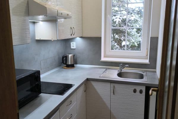 1 bedroom flat to rent, 38 m², Sadová, České Budějovice 1 bedroom flat to rent, 38 m², Sadová, České Budějovice