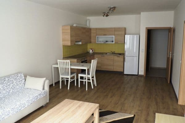 1 bedroom with open-plan kitchen flat to rent, 65 m², Kurta Konráda, Praha 1 bedroom with open-plan kitchen flat to rent, 65 m², Kurta Konráda, Praha