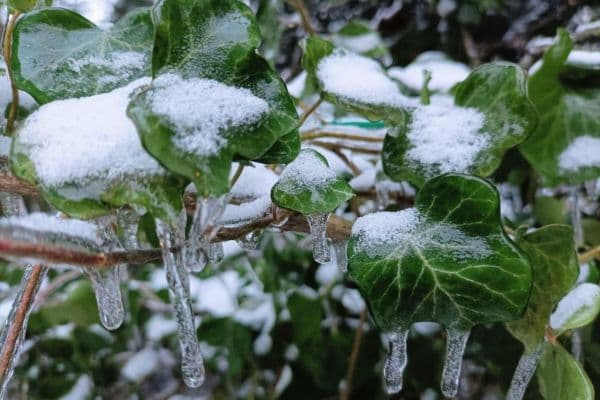 plot for sale, 1,020 m², Berlin plot for sale, 1,020 m², Berlin