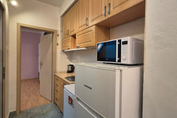 Studio flat to rent, 27 m², Renneská třída, Brno Studio flat to rent, 27 m², Renneská třída, Brno