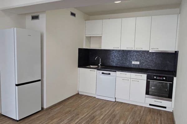 1 bedroom with open-plan kitchen flat to rent, 62 m², Sinkulova, Praha 1 bedroom with open-plan kitchen flat to rent, 62 m², Sinkulova, Praha