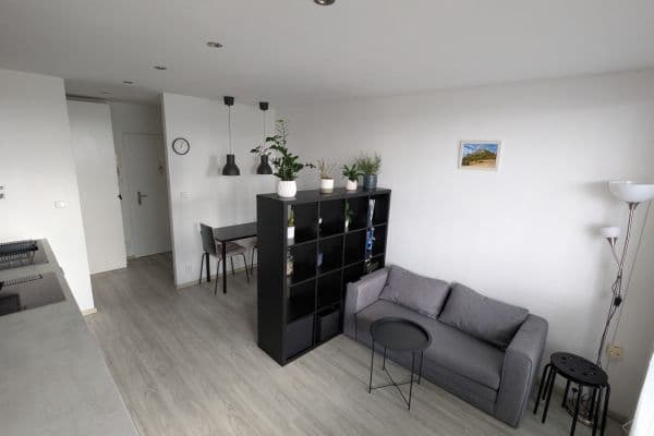 Studio flat to rent, 37 m², Tajovského, Praha Studio flat to rent, 37 m², Tajovského, Praha
