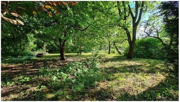 plot for sale, 1,281 m², Falkensee plot for sale, 1,281 m², Falkensee