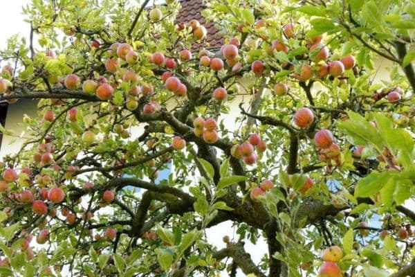 2 bedroom flat to rent, 80 m², Berlin, Berlin 2 bedroom flat to rent, 80 m², Berlin, Berlin