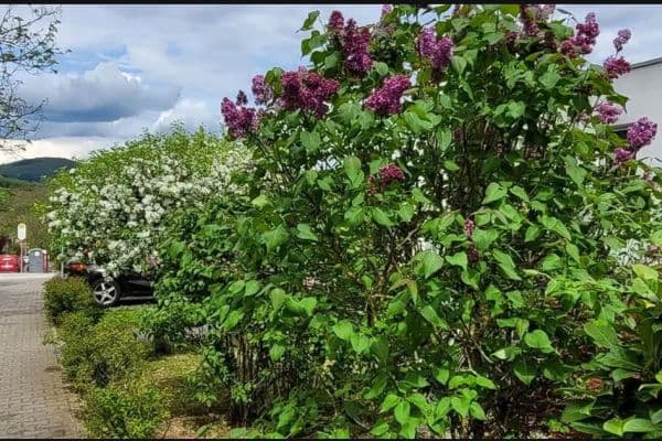 2 bedroom with open-plan kitchen flat to rent, 93 m², Waldallee 7.42, Eppstein 2 bedroom with open-plan kitchen flat to rent, 93 m², Waldallee 7.42, Eppstein