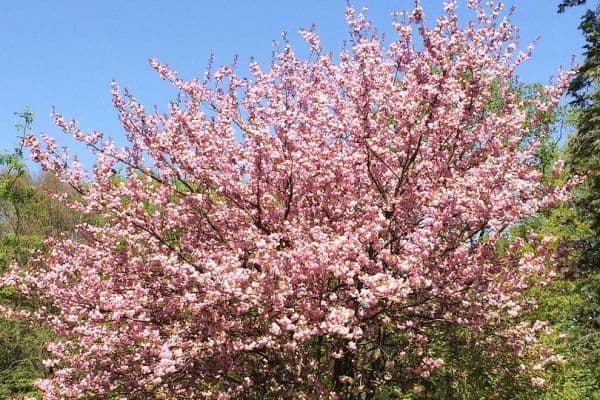 1 bedroom flat to rent, 24 m², Hamburg, Hamburg 1 bedroom flat to rent, 24 m², Hamburg, Hamburg