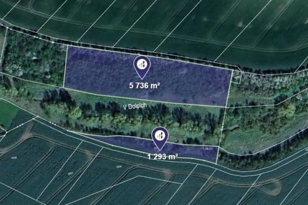 plot for sale, 879 m², Vrdy plot for sale, 879 m², Vrdy