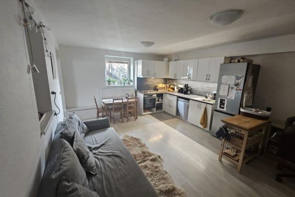 2 bedroom with open-plan kitchen flat to rent, 60 m², Breitcetlova, Brno 2 bedroom with open-plan kitchen flat to rent, 60 m², Breitcetlova, Brno