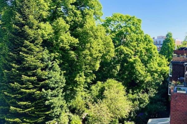 4 bedroom flat to rent, 110 m², Fuldastraße 21, Duisburg 4 bedroom flat to rent, 110 m², Fuldastraße 21, Duisburg