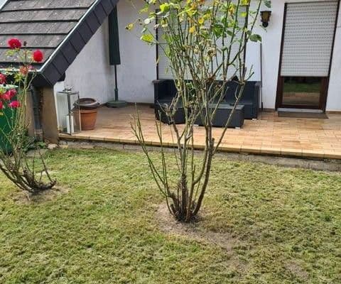 3 bedroom flat to rent, 100 m², Breisach 3 bedroom flat to rent, 100 m², Breisach