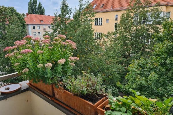 3 bedroom flat for sale, 68 m², Vineta Str.52, Berlin-Pankow, Berlin 3 bedroom flat for sale, 68 m², Vineta Str.52, Berlin-Pankow, Berlin