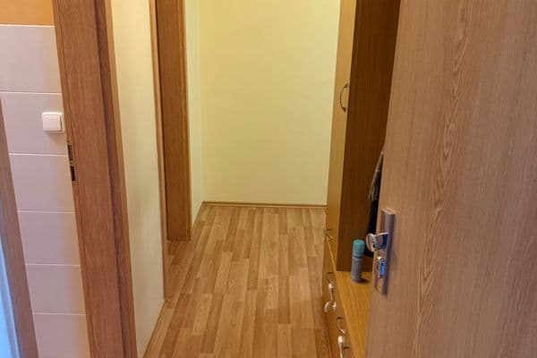 1 bedroom with open-plan kitchen flat to rent, 56 m², Čeňka Růžičky, Brno 1 bedroom with open-plan kitchen flat to rent, 56 m², Čeňka Růžičky, Brno