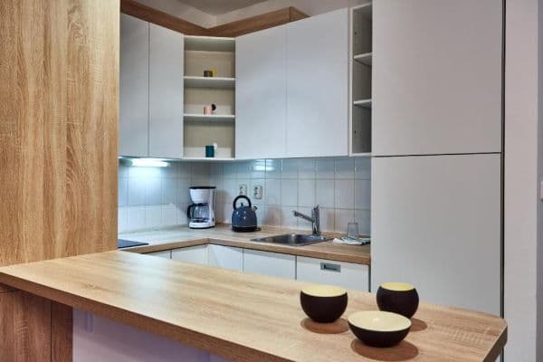 1 bedroom with open-plan kitchen flat for sale, 54 m², K Lanovce, Jáchymov 1 bedroom with open-plan kitchen flat for sale, 54 m², K Lanovce, Jáchymov