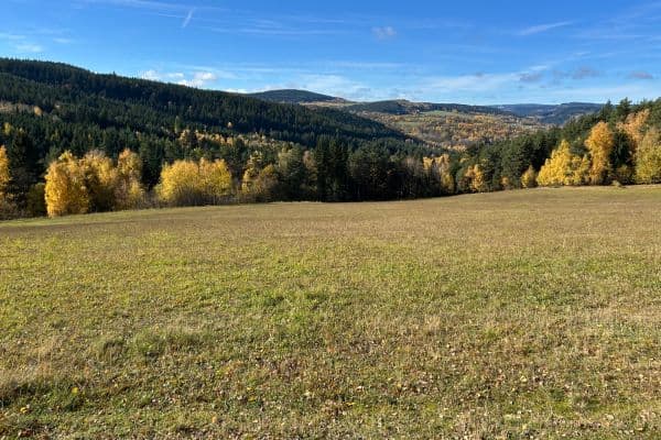 Plot for sale Plot for sale