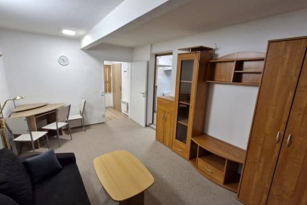 1 bedroom with open-plan kitchen flat to rent, 37 m², Vrchlického, Praha 1 bedroom with open-plan kitchen flat to rent, 37 m², Vrchlického, Praha