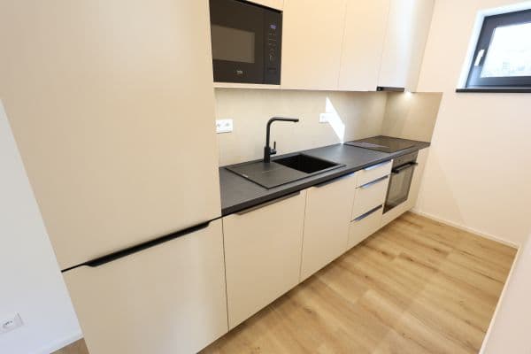 1 bedroom with open-plan kitchen flat to rent, 54 m², Na Radosti, Praha 1 bedroom with open-plan kitchen flat to rent, 54 m², Na Radosti, Praha
