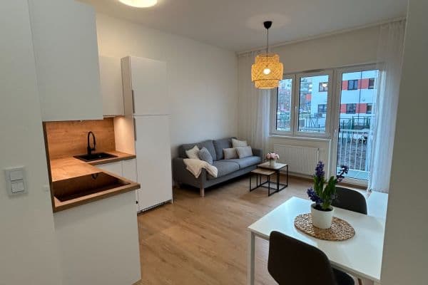 1 bedroom with open-plan kitchen flat to rent, 42 m², Hermanové, Praha 1 bedroom with open-plan kitchen flat to rent, 42 m², Hermanové, Praha