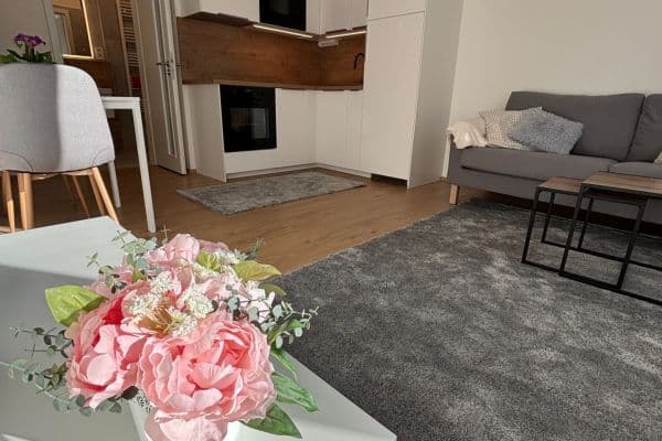 1 bedroom with open-plan kitchen flat to rent, 42 m², Hermanové, Praha 1 bedroom with open-plan kitchen flat to rent, 42 m², Hermanové, Praha