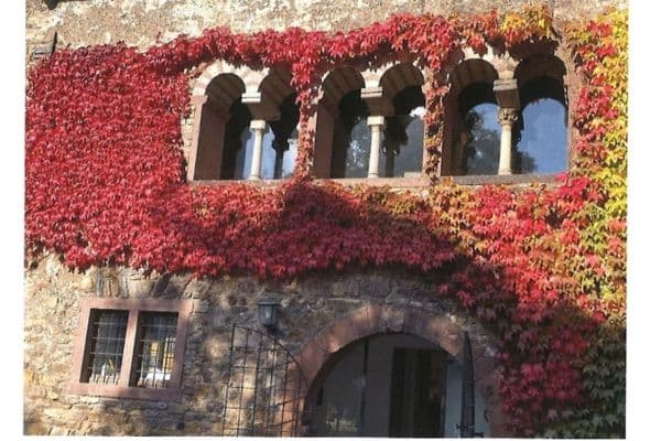 House for sale House for sale