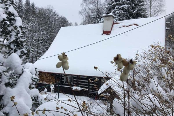 recreational property to rent, 0 m², Bartošovice v Orlických horách recreational property to rent, 0 m², Bartošovice v Orlických horách