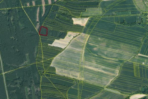 plot for sale, 11,170 m², Rybnice plot for sale, 11,170 m², Rybnice