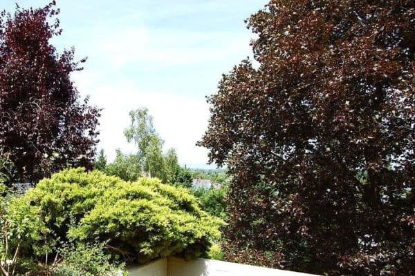 1 bedroom with open-plan kitchen flat for sale, 118 m², Dreieich 1 bedroom with open-plan kitchen flat for sale, 118 m², Dreieich