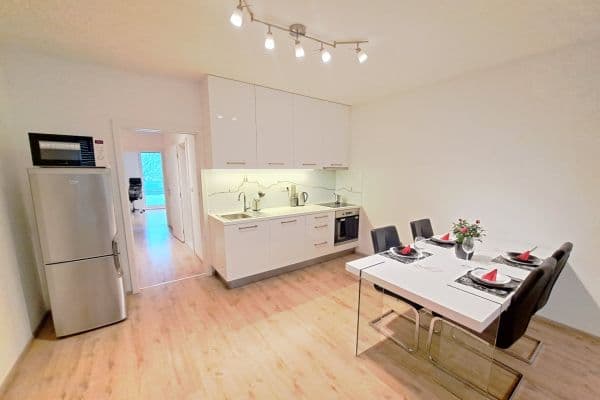 1 bedroom with open-plan kitchen flat to rent, 156 m², Francouzská, Brno 1 bedroom with open-plan kitchen flat to rent, 156 m², Francouzská, Brno