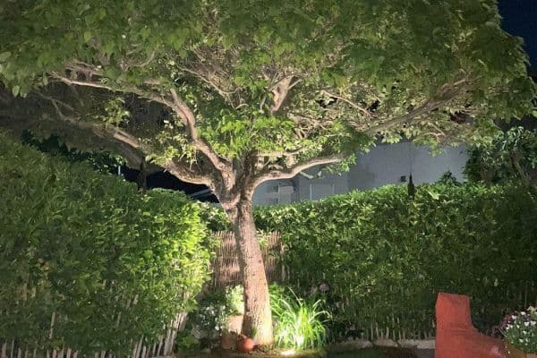 house for sale, 168 m², Udenheim house for sale, 168 m², Udenheim