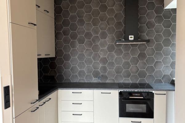 1 bedroom with open-plan kitchen flat to rent, 56 m², Na Farkáně Ⅲ, Praha 1 bedroom with open-plan kitchen flat to rent, 56 m², Na Farkáně Ⅲ, Praha