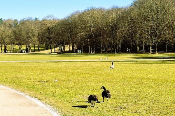 3 bedroom flat for sale, 80 m², Westendstrasse 266a, München, Bavaria 3 bedroom flat for sale, 80 m², Westendstrasse 266a, München, Bavaria