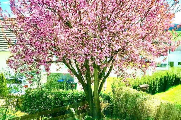 house for sale, 250 m², Göppingen house for sale, 250 m², Göppingen