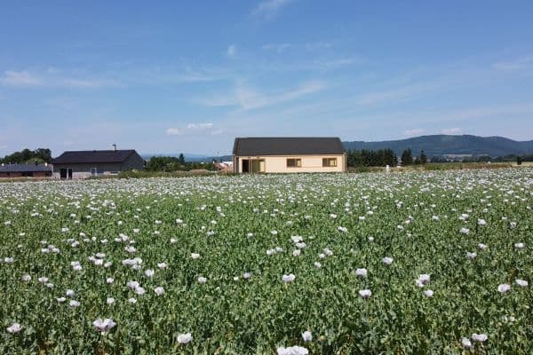 House for sale House for sale