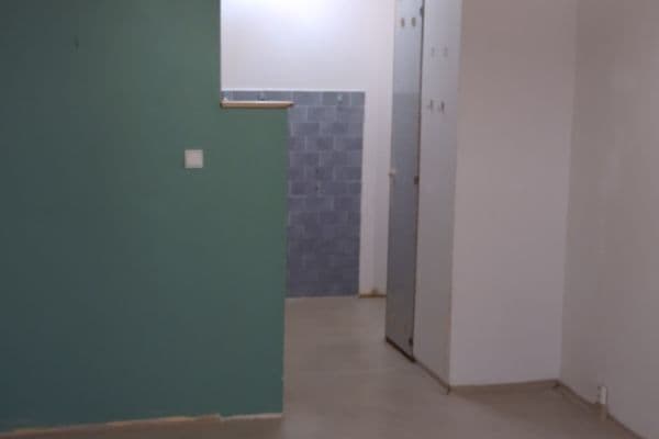 1 bedroom with open-plan kitchen flat for sale, 42 m², Mendelova, Praha 1 bedroom with open-plan kitchen flat for sale, 42 m², Mendelova, Praha