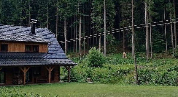 recreational property to rent, 0 m², Nový Hrozenkov, Zlínský Region recreational property to rent, 0 m², Nový Hrozenkov, Zlínský Region