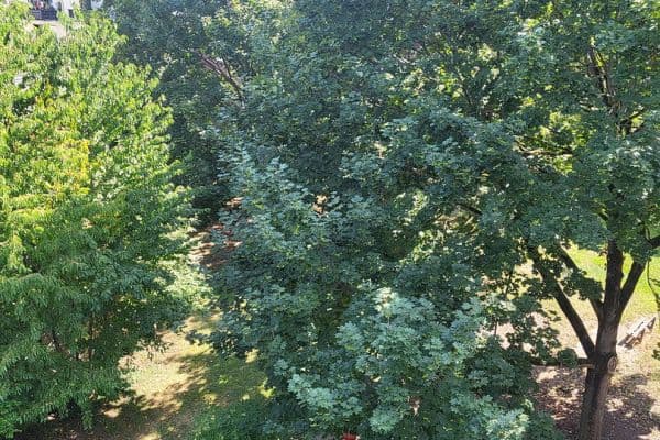 3 bedroom flat to rent, 68 m², Neustadtstraße 3, Leverkusen 3 bedroom flat to rent, 68 m², Neustadtstraße 3, Leverkusen