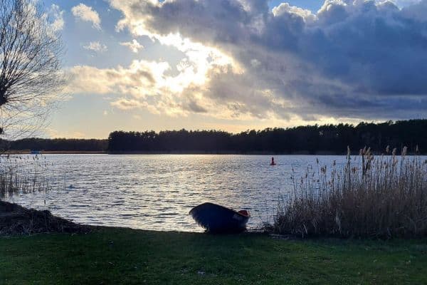 House for sale House for sale