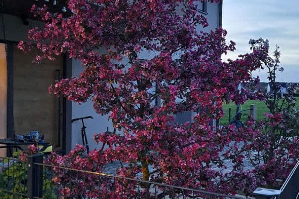 house for sale, 178 m², Langensendelbach house for sale, 178 m², Langensendelbach