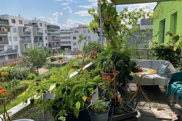 3 bedroom flat for sale, 78 m², Axel-Corti-Gasse 8, Wien, Vienna 3 bedroom flat for sale, 78 m², Axel-Corti-Gasse 8, Wien, Vienna